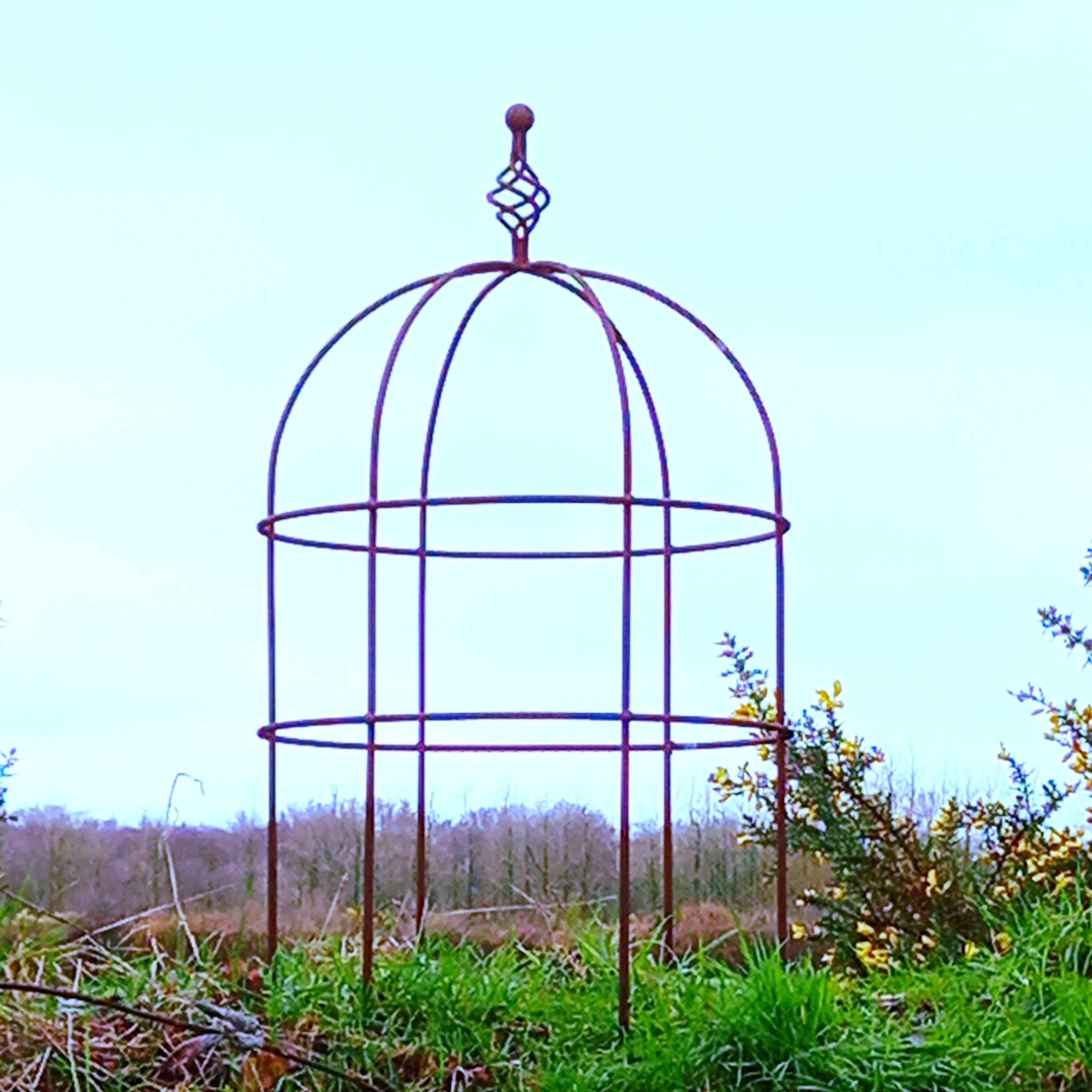 Classic Round & Lobster Pot Plant Supports