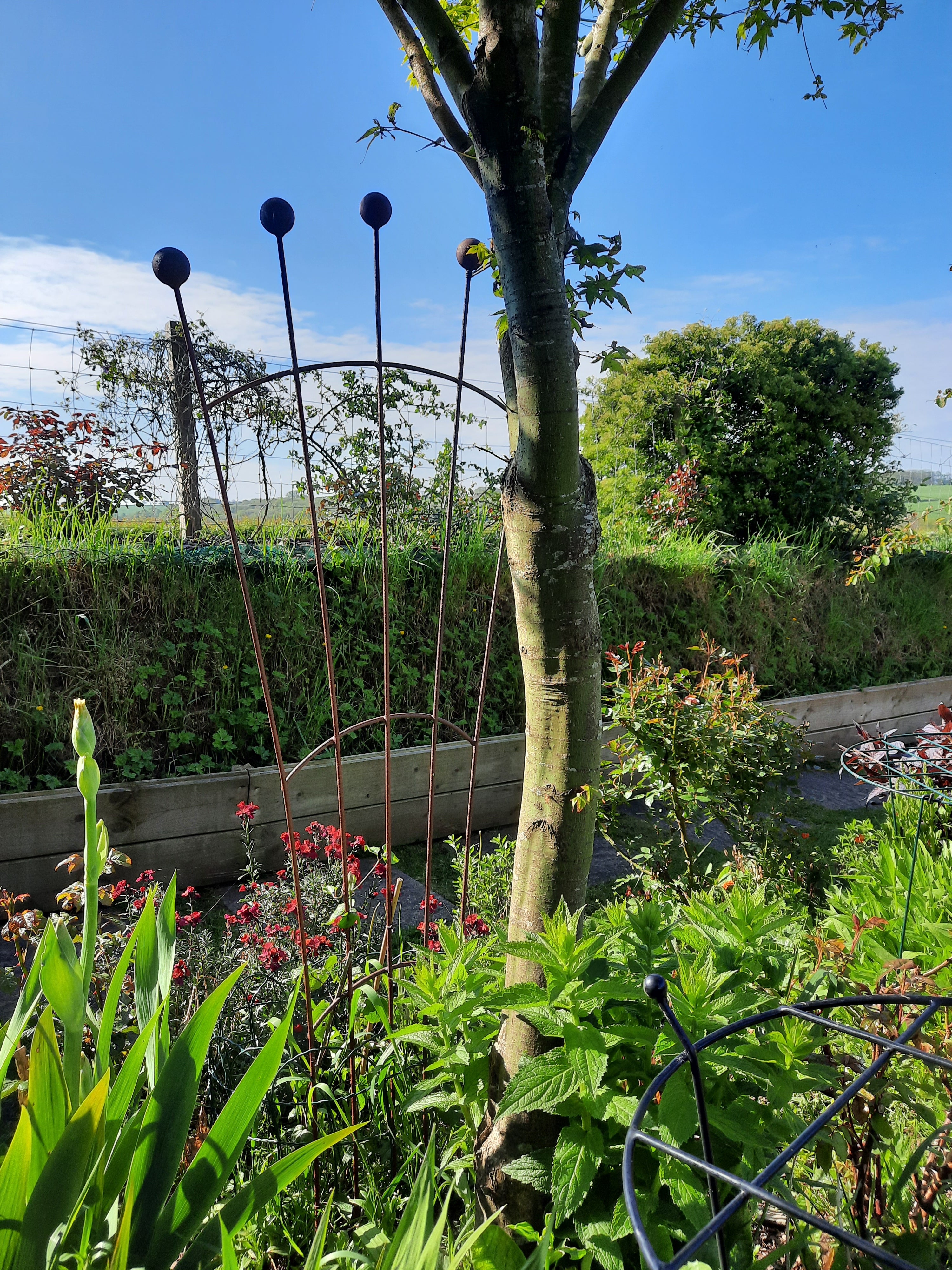 Trellis Fan Shape Rust