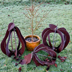 Rusty Pear Sculpture