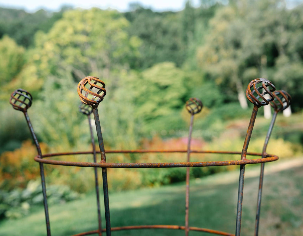 Fluted Trumpet Plant Support Basket Top