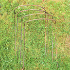 Herbaceous Bow Supports set of 4