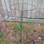 Herbaceous Bow Supports set of 4