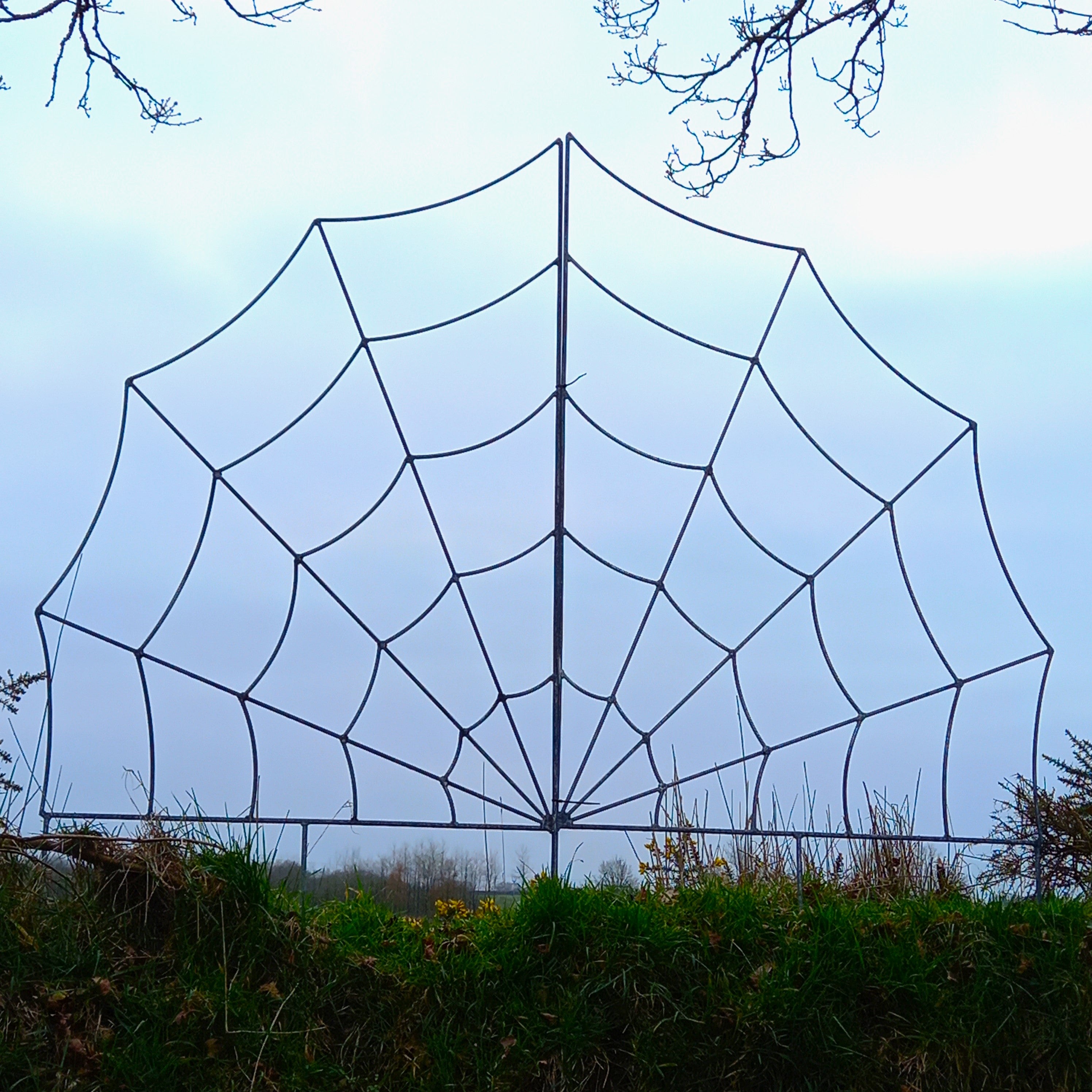 Trellis Spider Web Rust