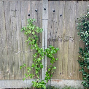 Trellis Fan Shape Rust
