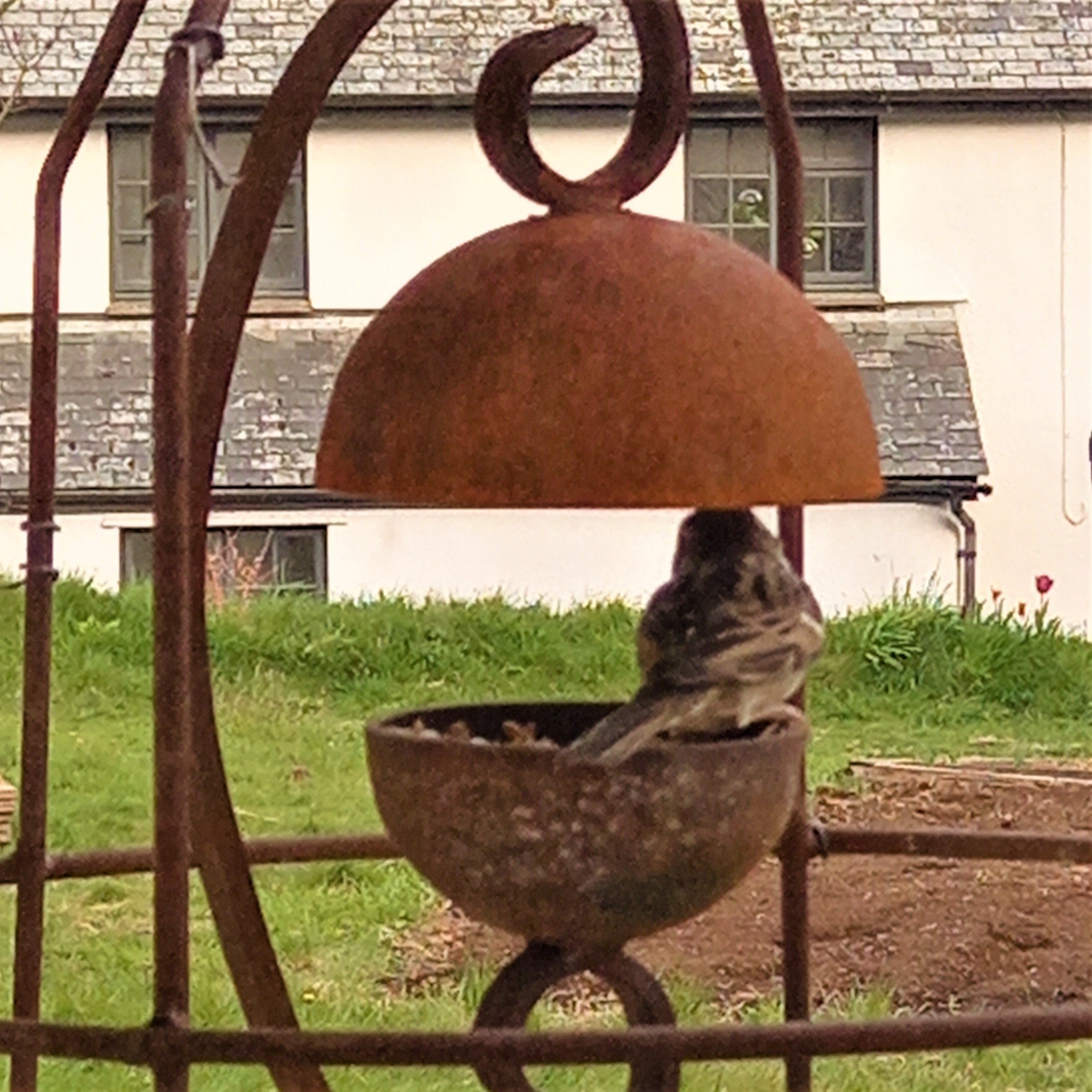 Rusty Bird Feeder Dome Shape