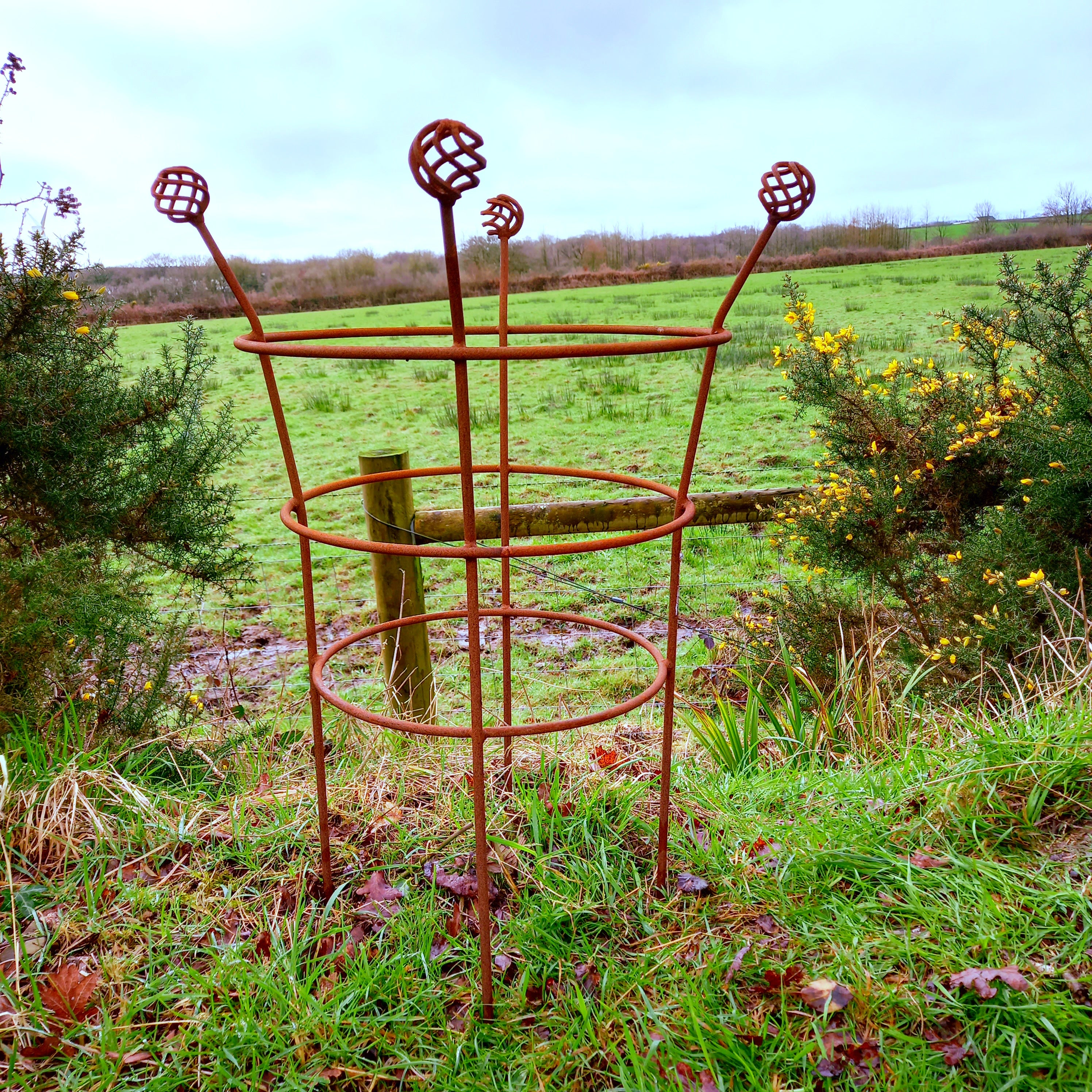 Fluted Trumpet Plant Support Basket Top