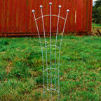 Trellis Fan Shape Galvanized