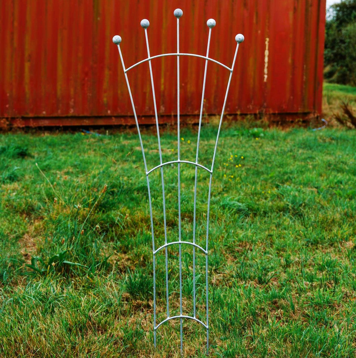 Trellis Fan Shape Galvanized