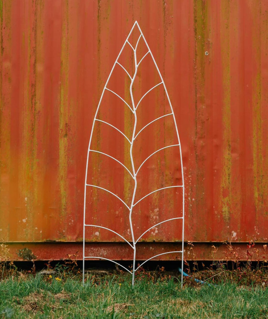 Trellis Leaf Galvanized
