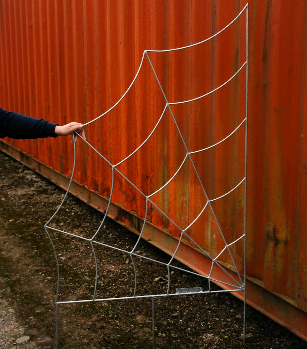 Trellis Spider Web Galvanized