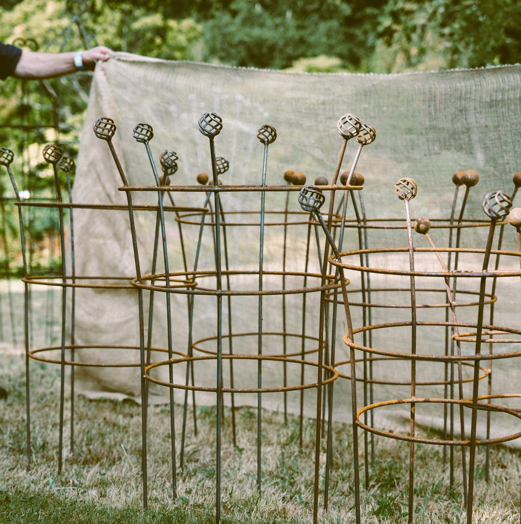 Fluted Trumpet Plant Support Basket Top