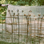 Fluted Trumpet Plant Support Basket Top