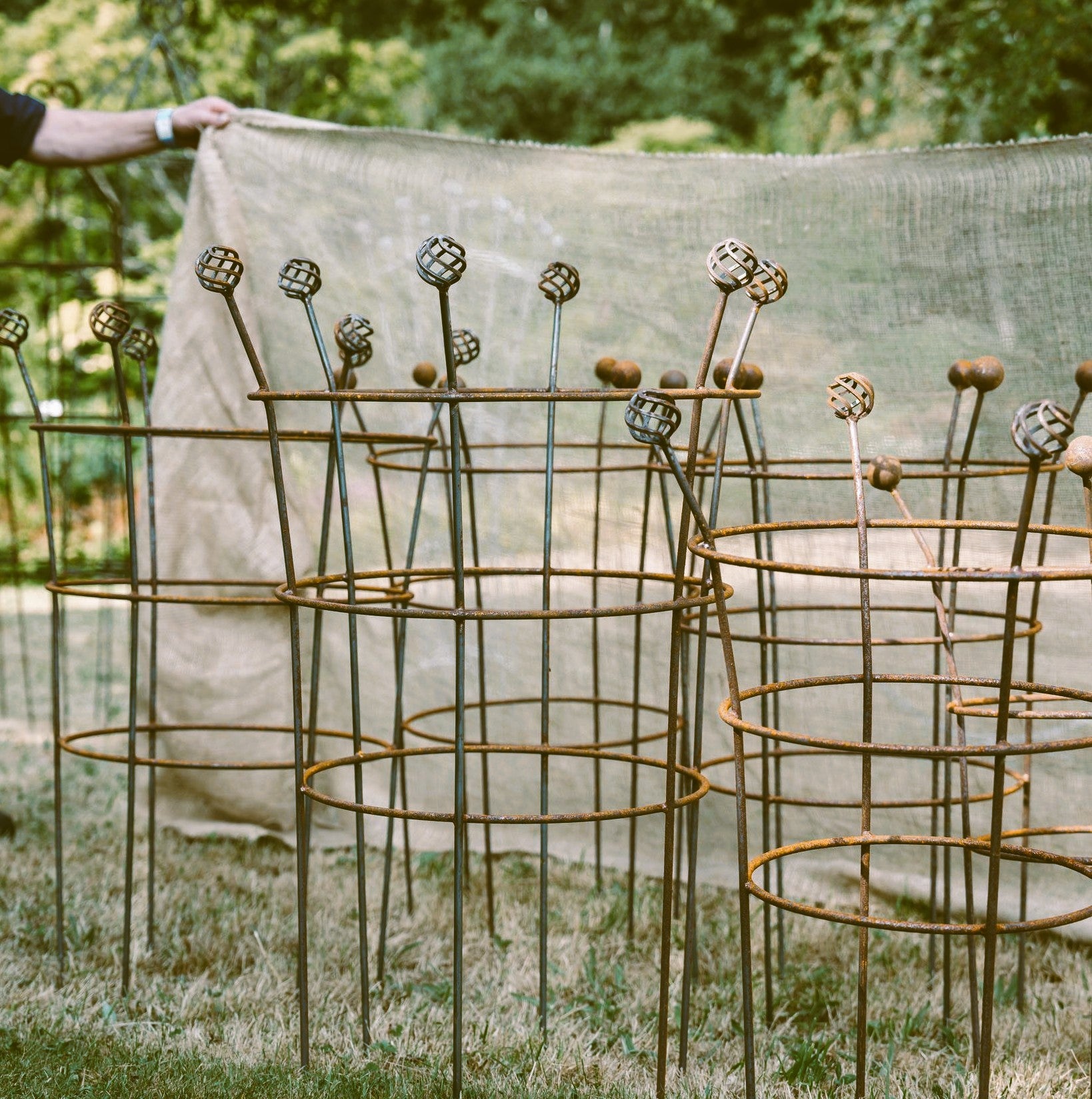 Fluted Trumpet Plant Support Basket Top
