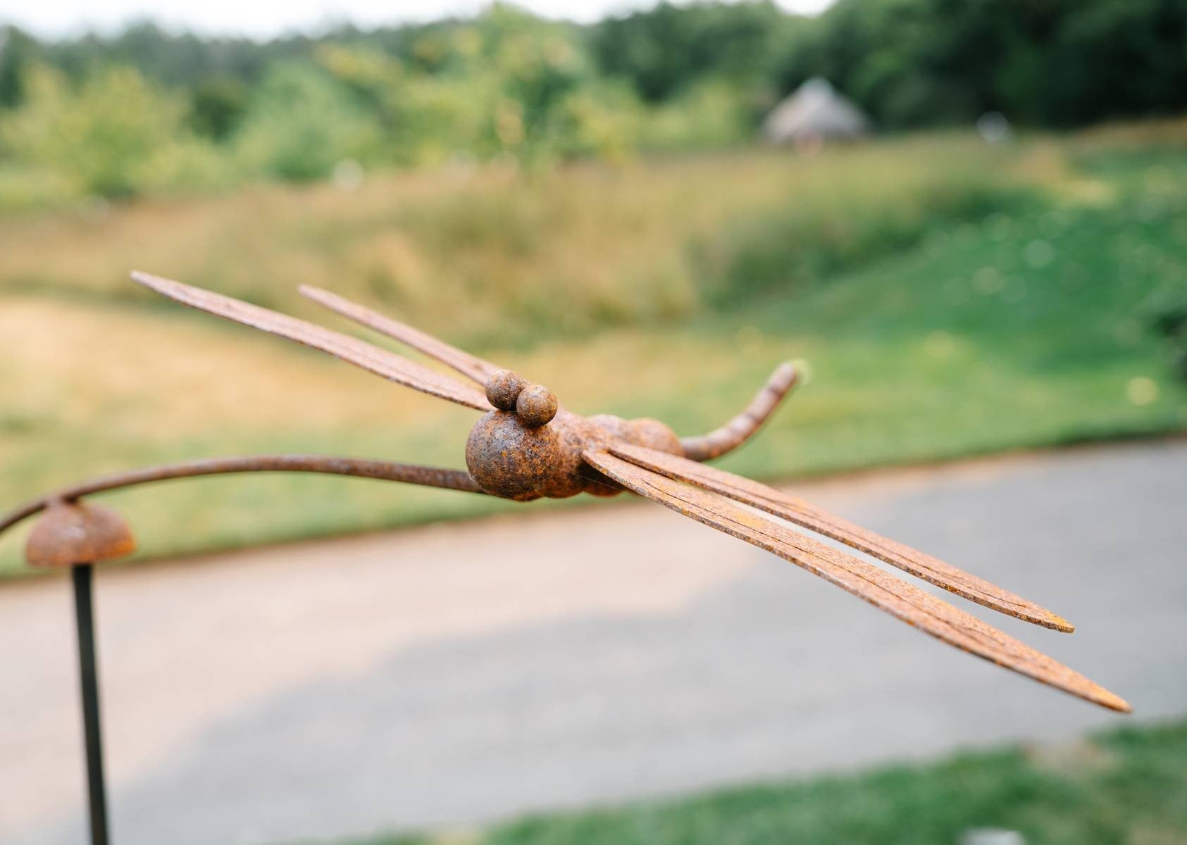 Rusty Dragonfly Wind Balancer