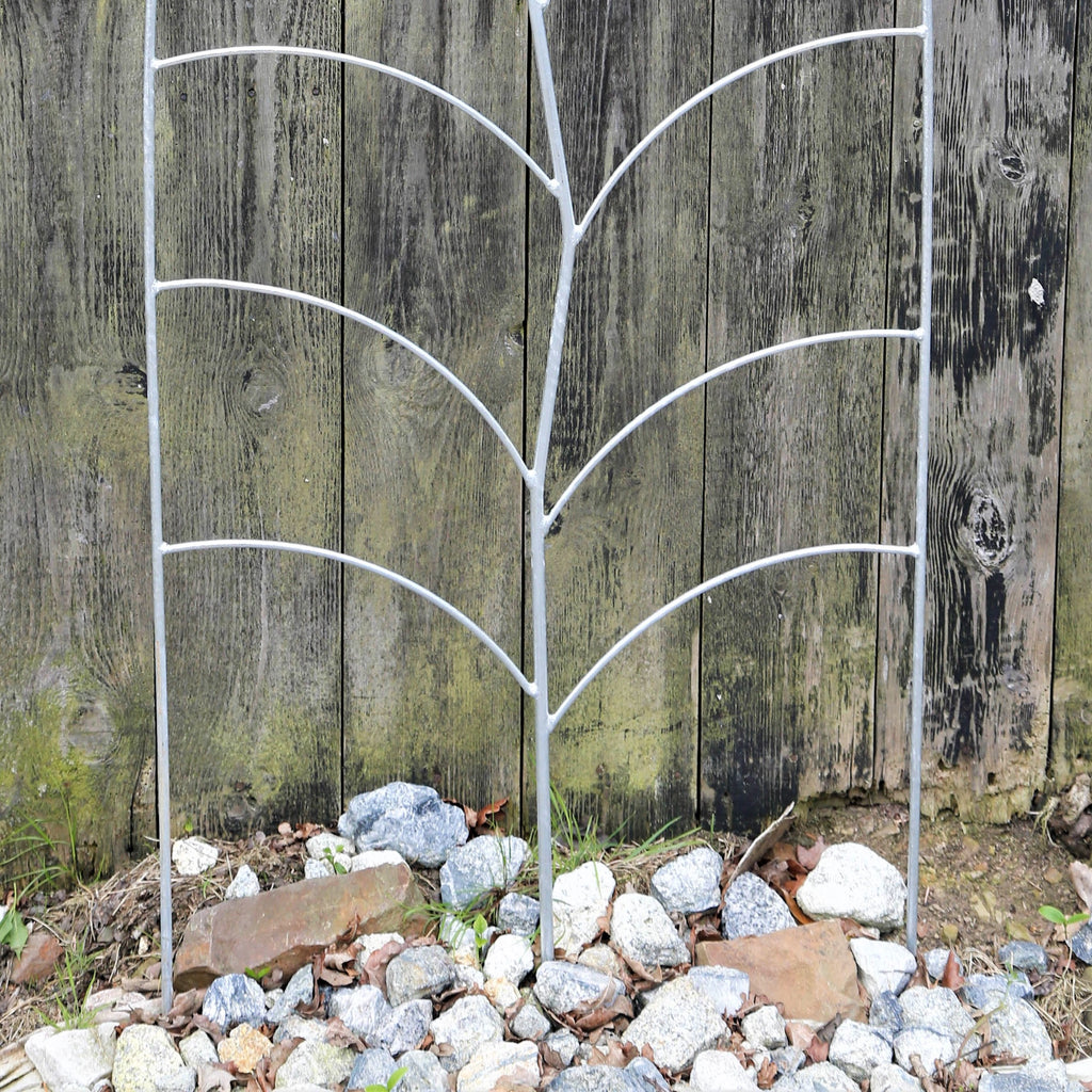 Trellis Leaf Galvanized