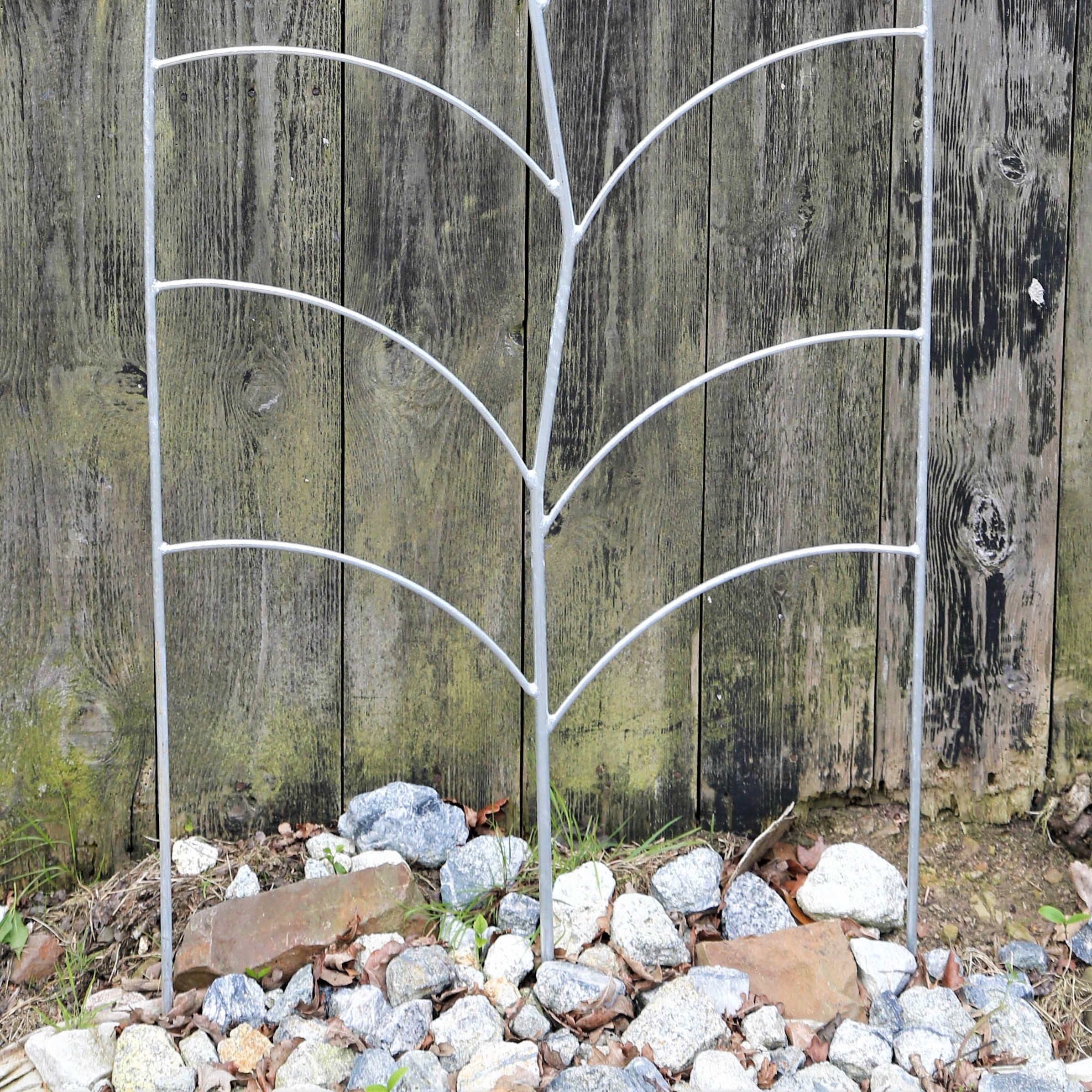 Trellis Leaf Galvanized