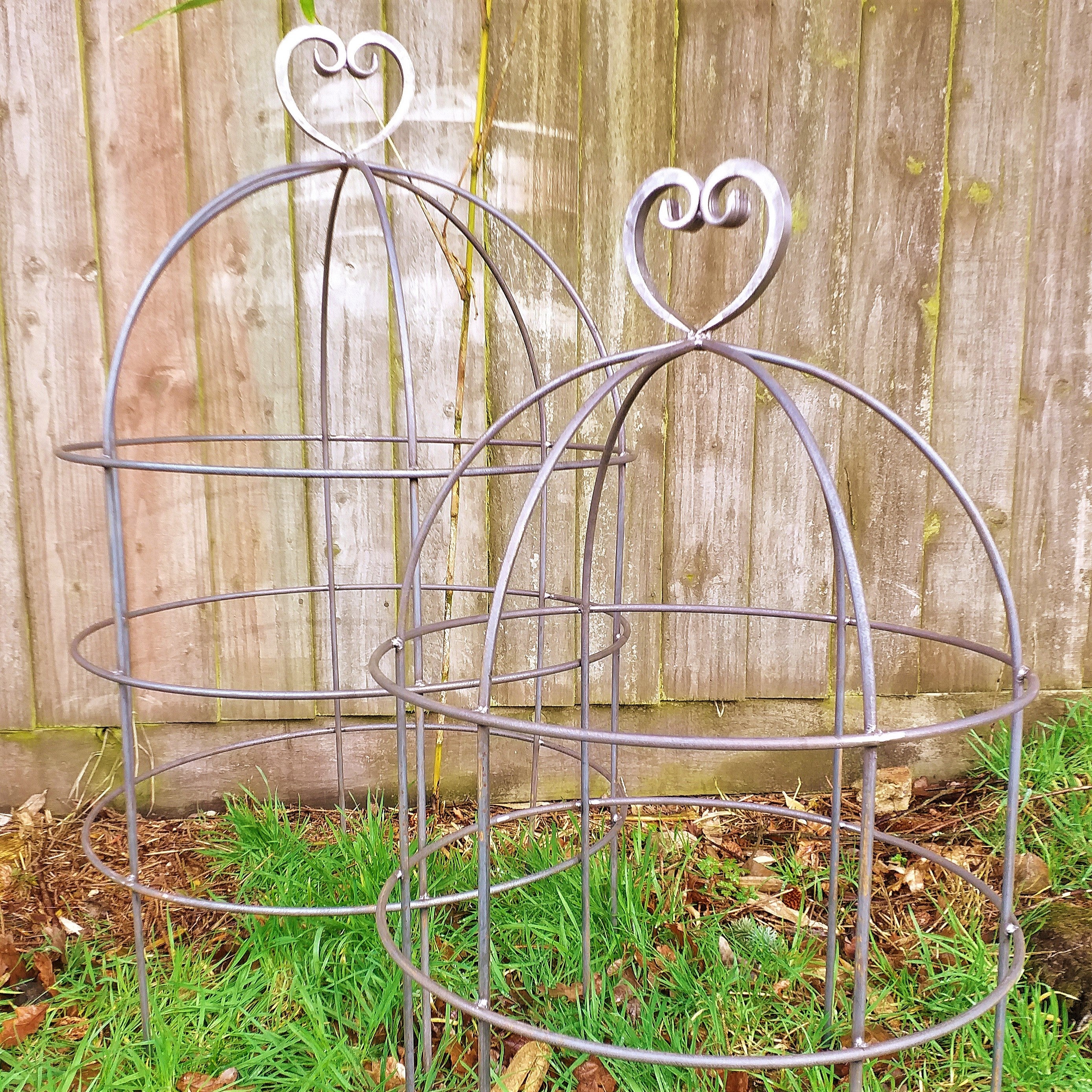 Lobster Pot Plant Frame Heart Top