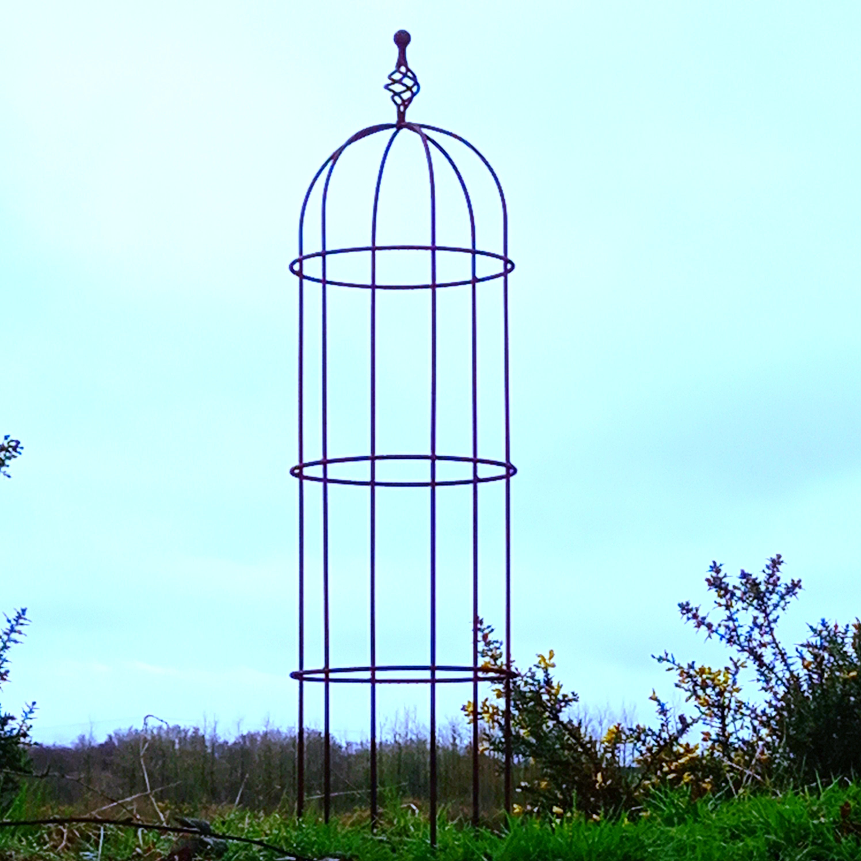 Classic Round Obelisk Plant Support