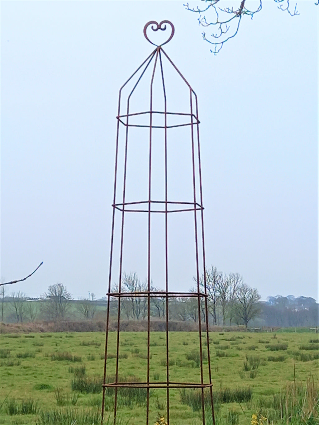 Steel Garden Obelisk for Roses, Clematis, Sweet Peas and Climbing Plants - Heart Top.