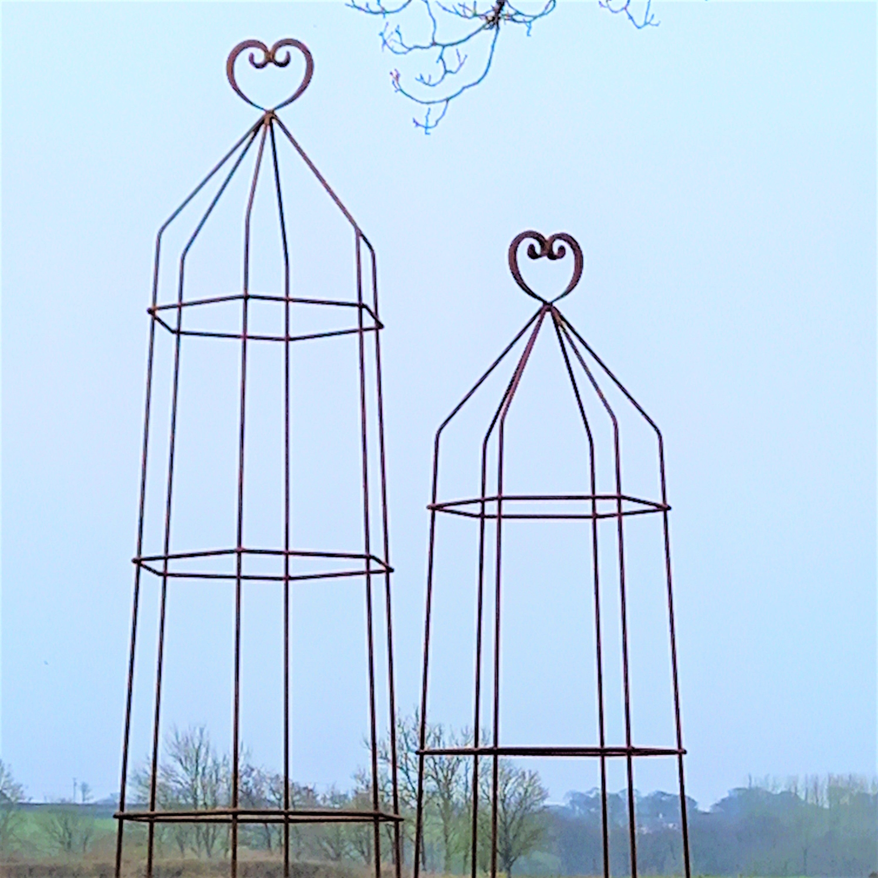 Steel Garden Obelisk for Roses, Clematis, Sweet Peas and Climbing Plants - Heart Top.