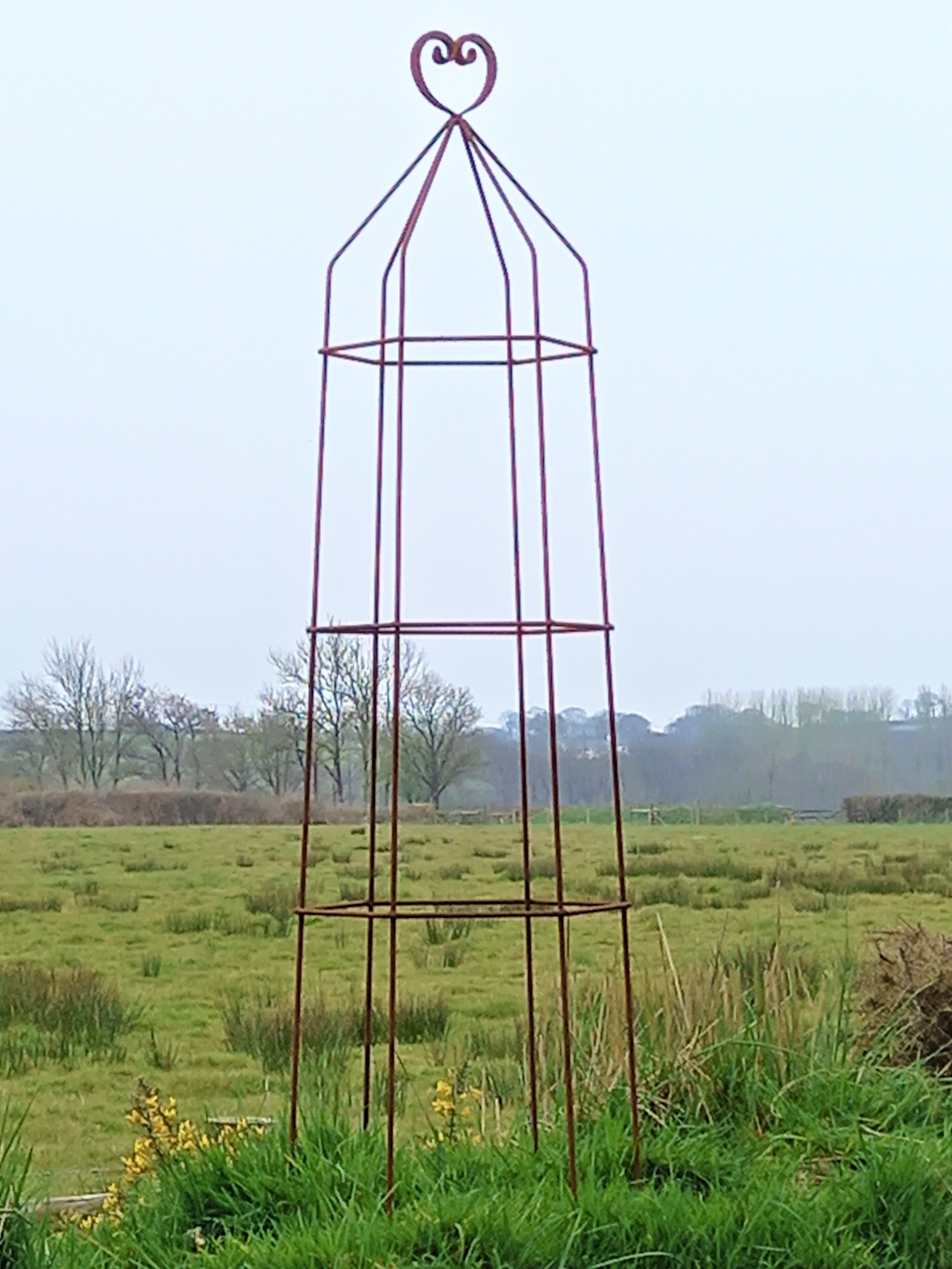 Steel Garden Obelisk for Roses, Clematis, Sweet Peas and Climbing Plants - Heart Top.