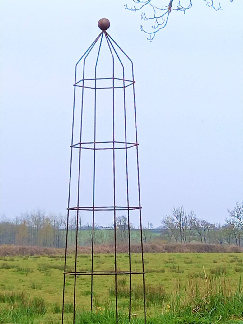 Steel Garden Obelisk for Roses, Clematis, Sweet Peas and Climbing Plants - Ball Top.