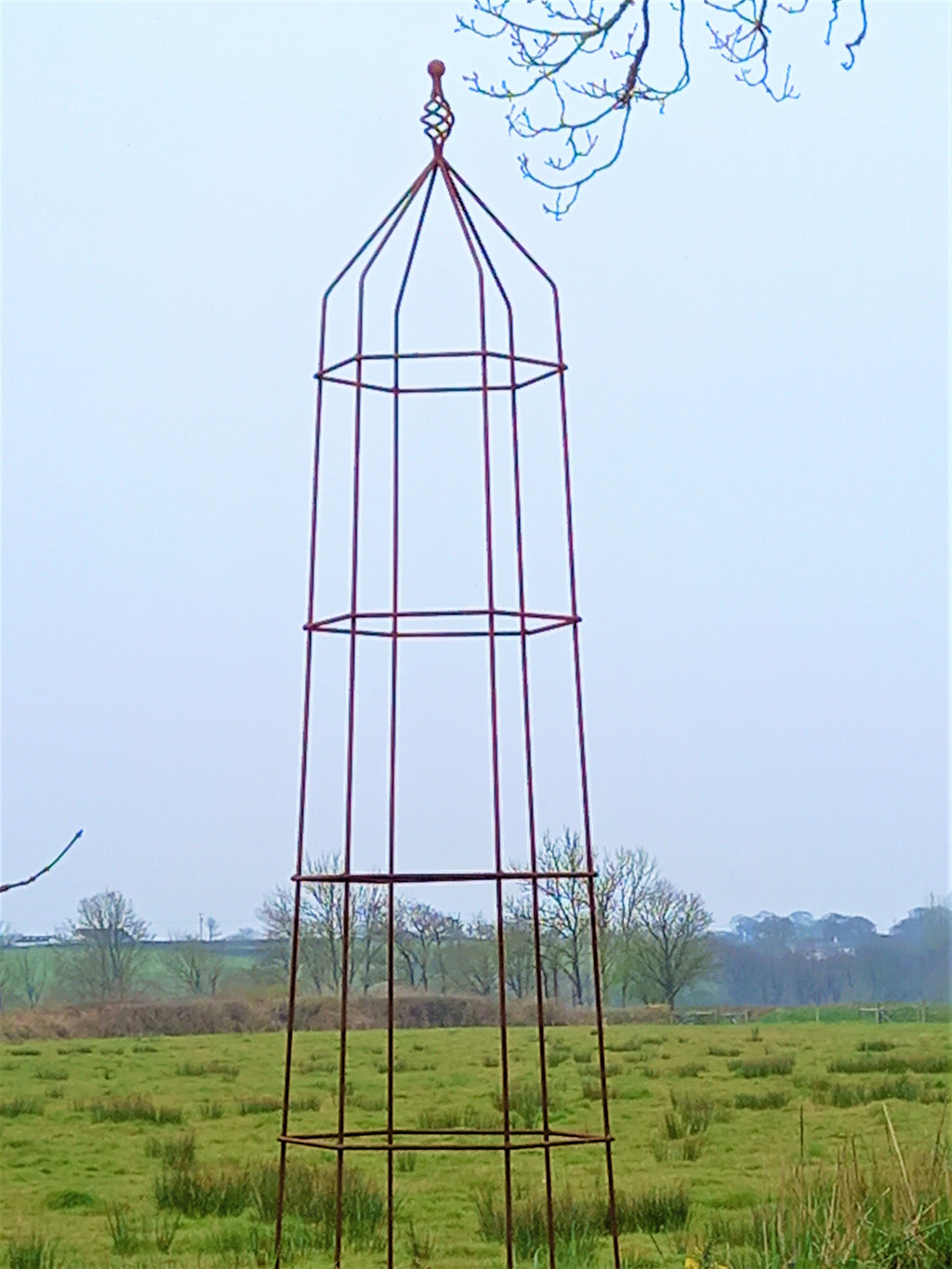 Steel Garden Obelisk for Roses, Clematis, Sweet Peas and Climbing Plants - Twist Top.