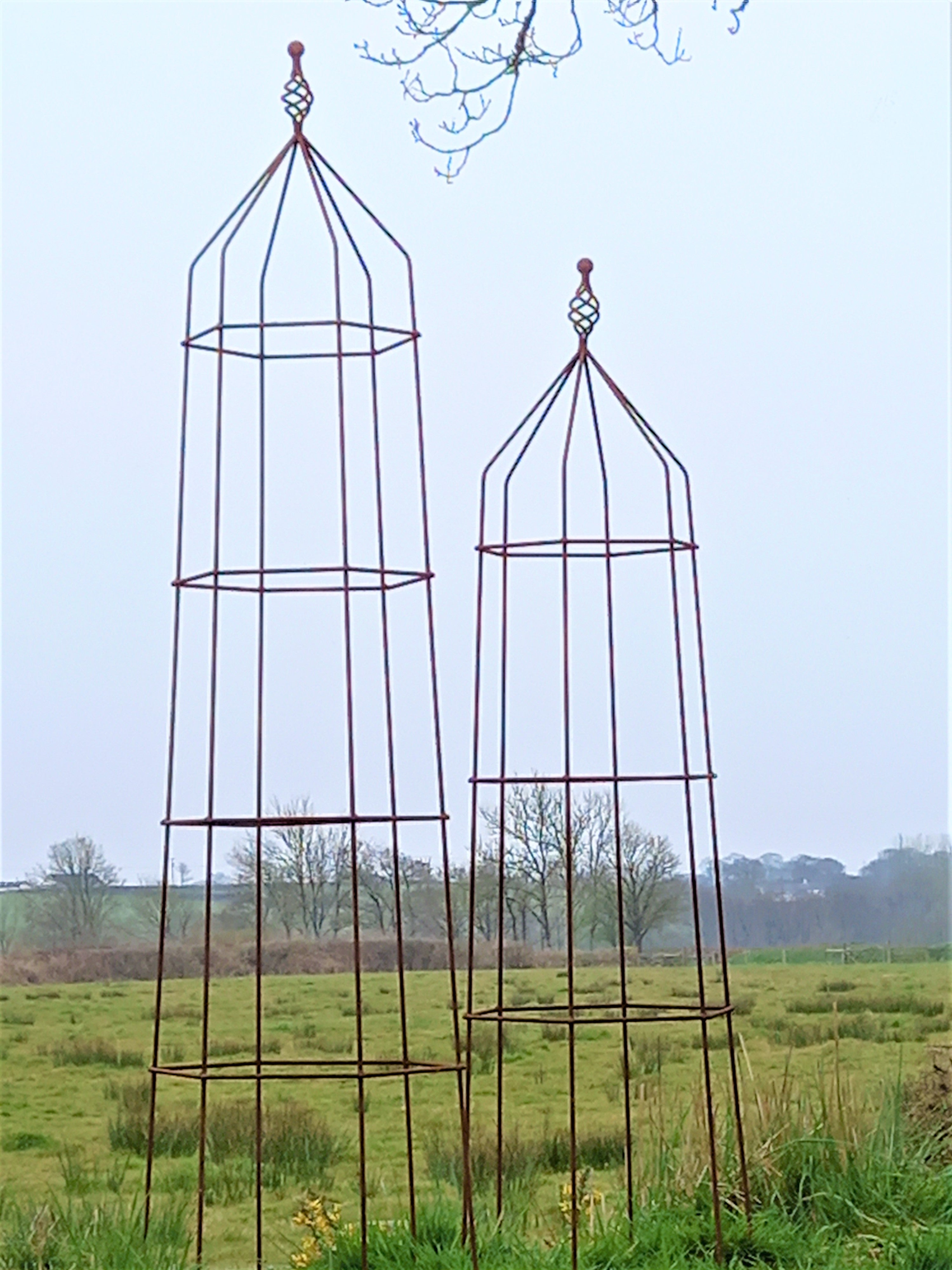 Steel Garden Obelisk for Roses, Clematis, Sweet Peas and Climbing Plants - Twist Top.
