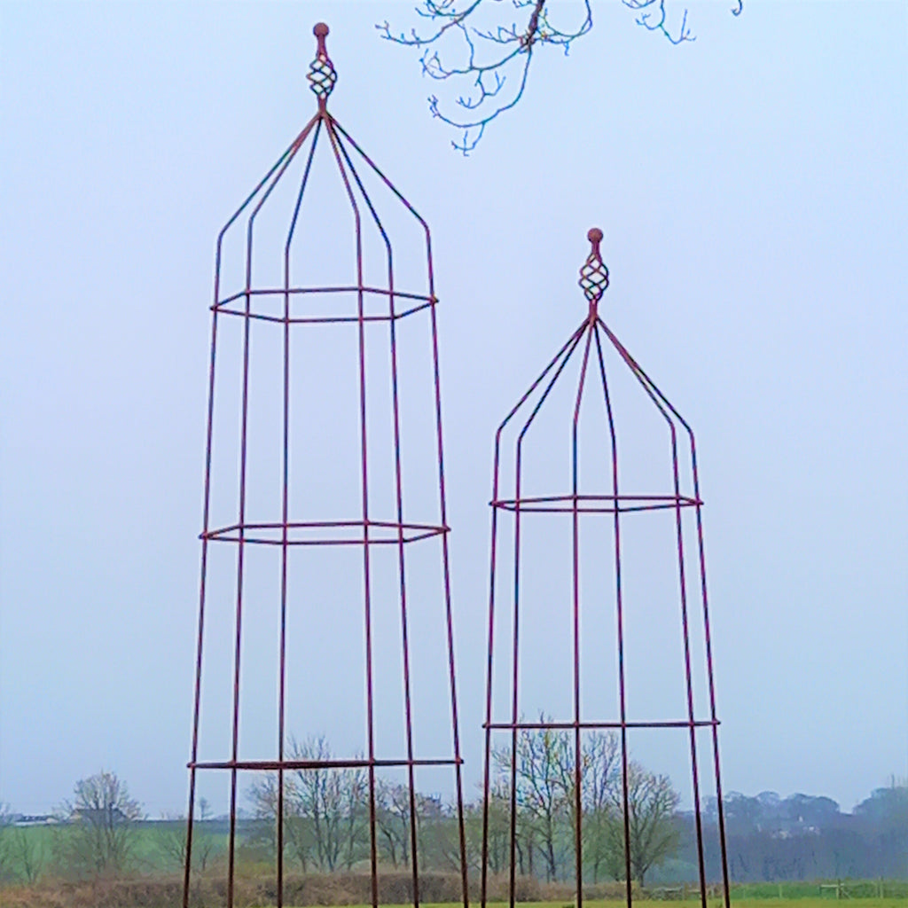 Steel Garden Obelisk for Roses, Clematis, Sweet Peas and Climbing Plants - Twist Top.