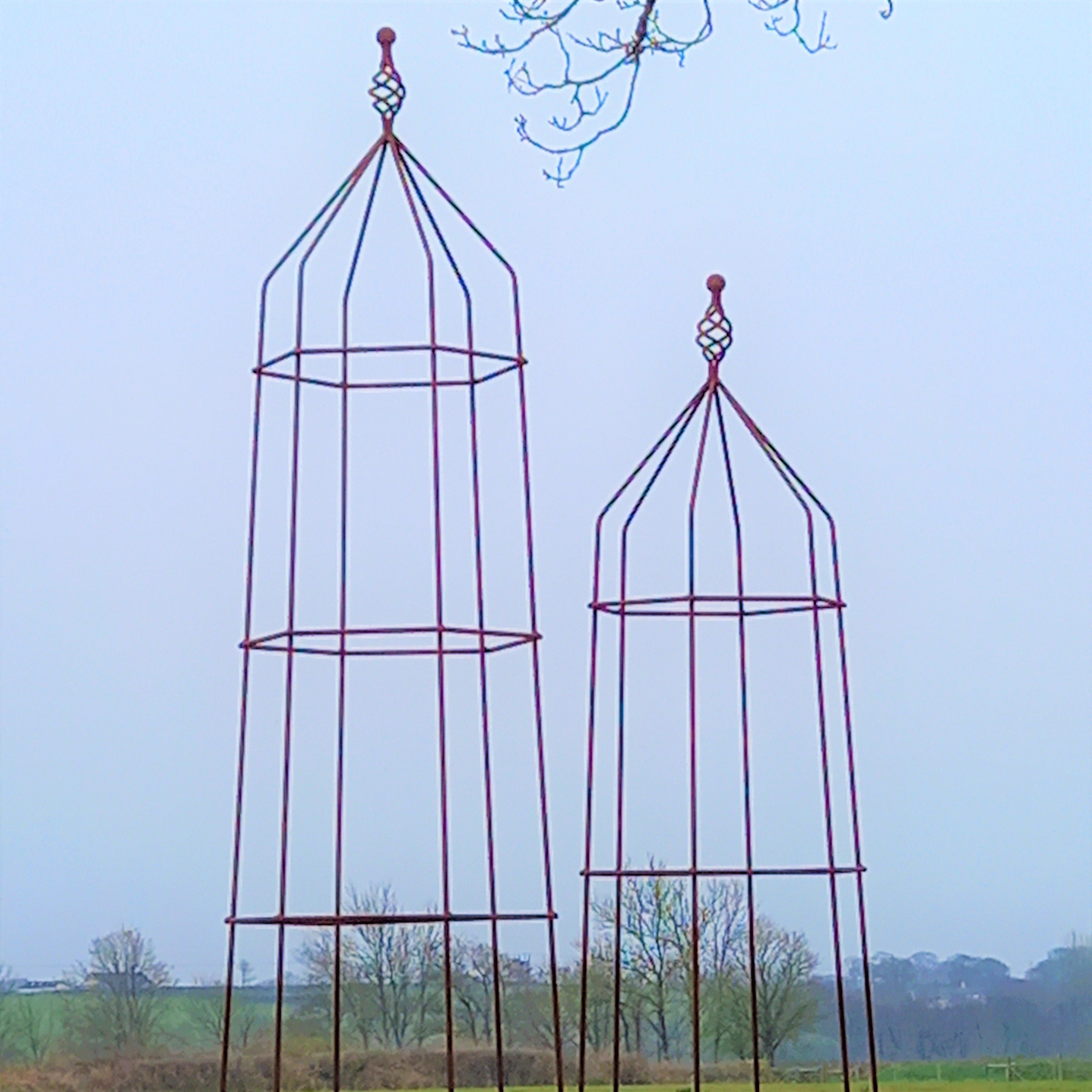 Steel Garden Obelisk for Roses, Clematis, Sweet Peas and Climbing Plants - Twist Top.