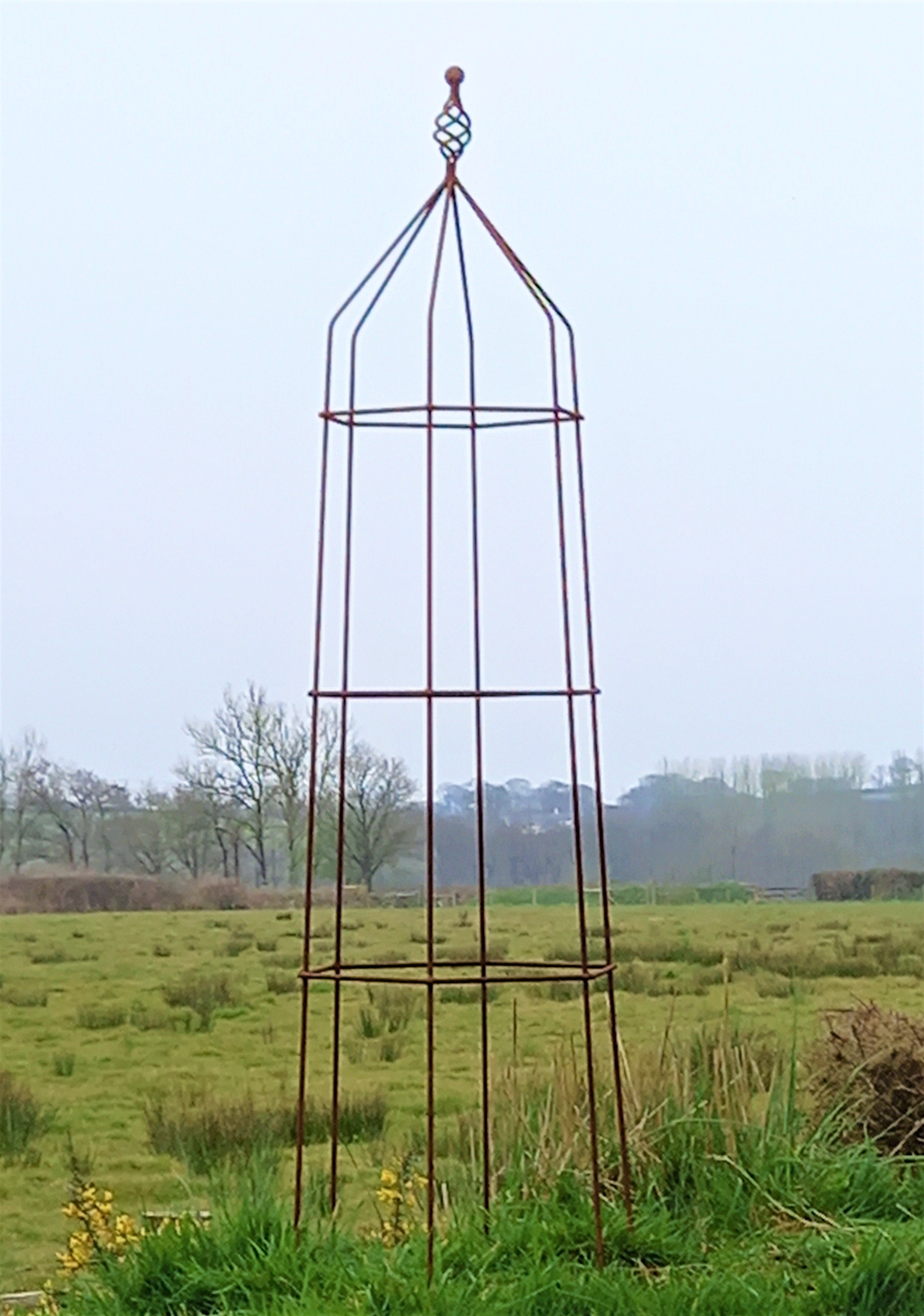 Steel Garden Obelisk for Roses, Clematis, Sweet Peas and Climbing Plants - Twist Top.