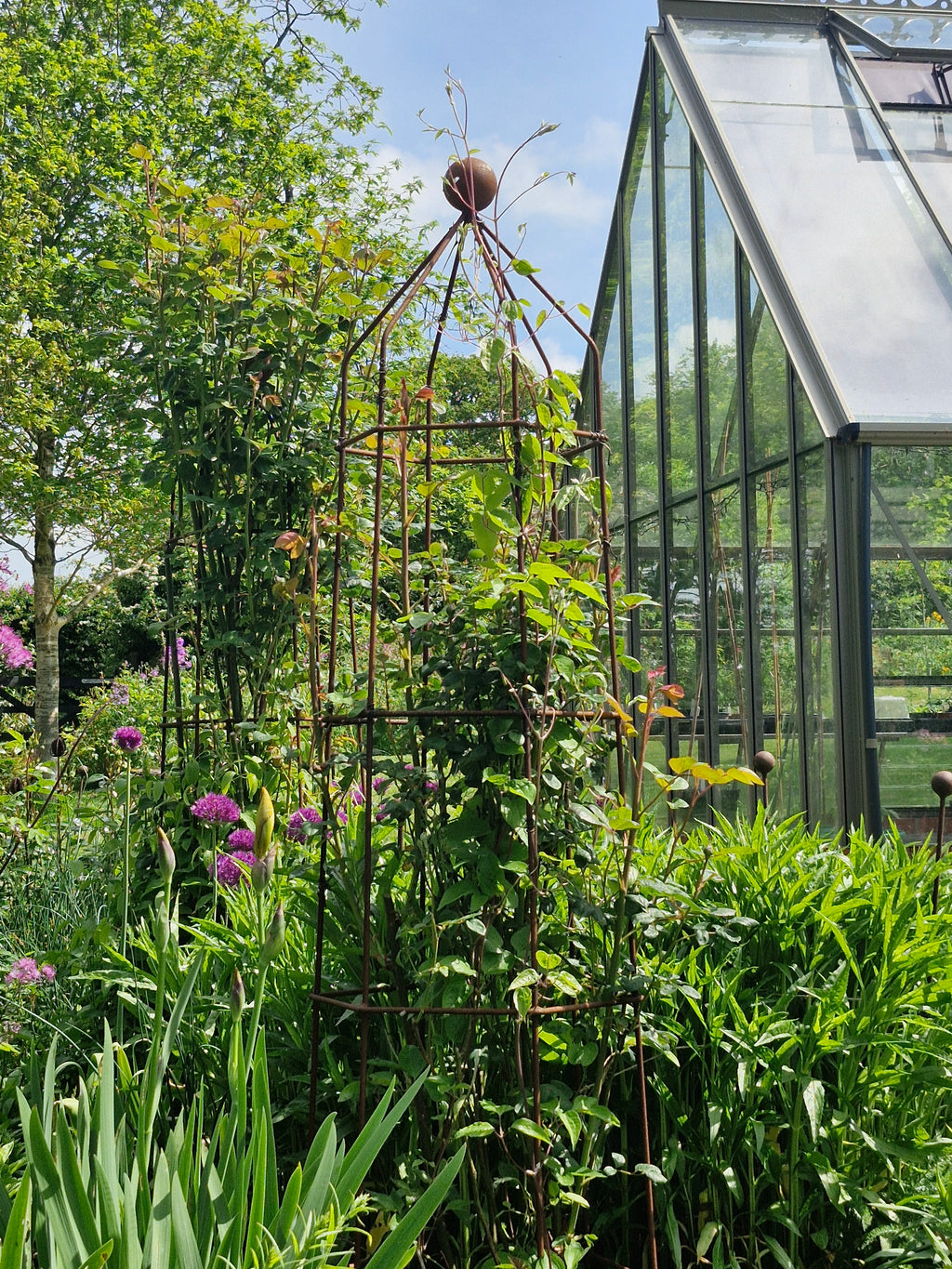 Steel Garden Obelisk for Roses, Clematis, Sweet Peas and Climbing Plants - Ball Top.