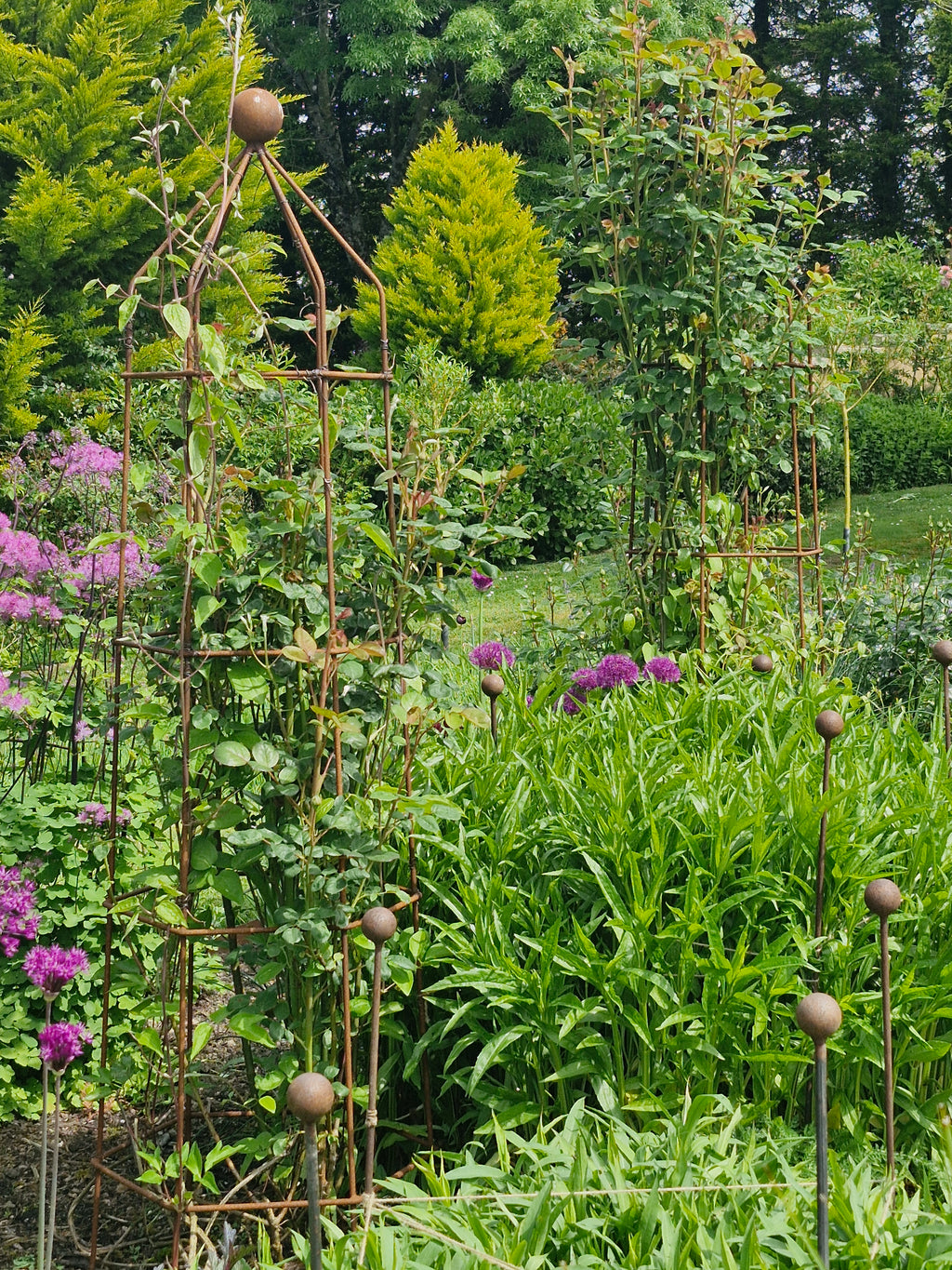 Steel Garden Obelisk for Roses, Clematis, Sweet Peas and Climbing Plants - Ball Top.