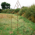 Trellis Leaf Rust
