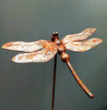 Rusty Dragonfly Decorative Garden Stake