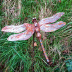 Rusty Dragonfly Decorative Garden Stake