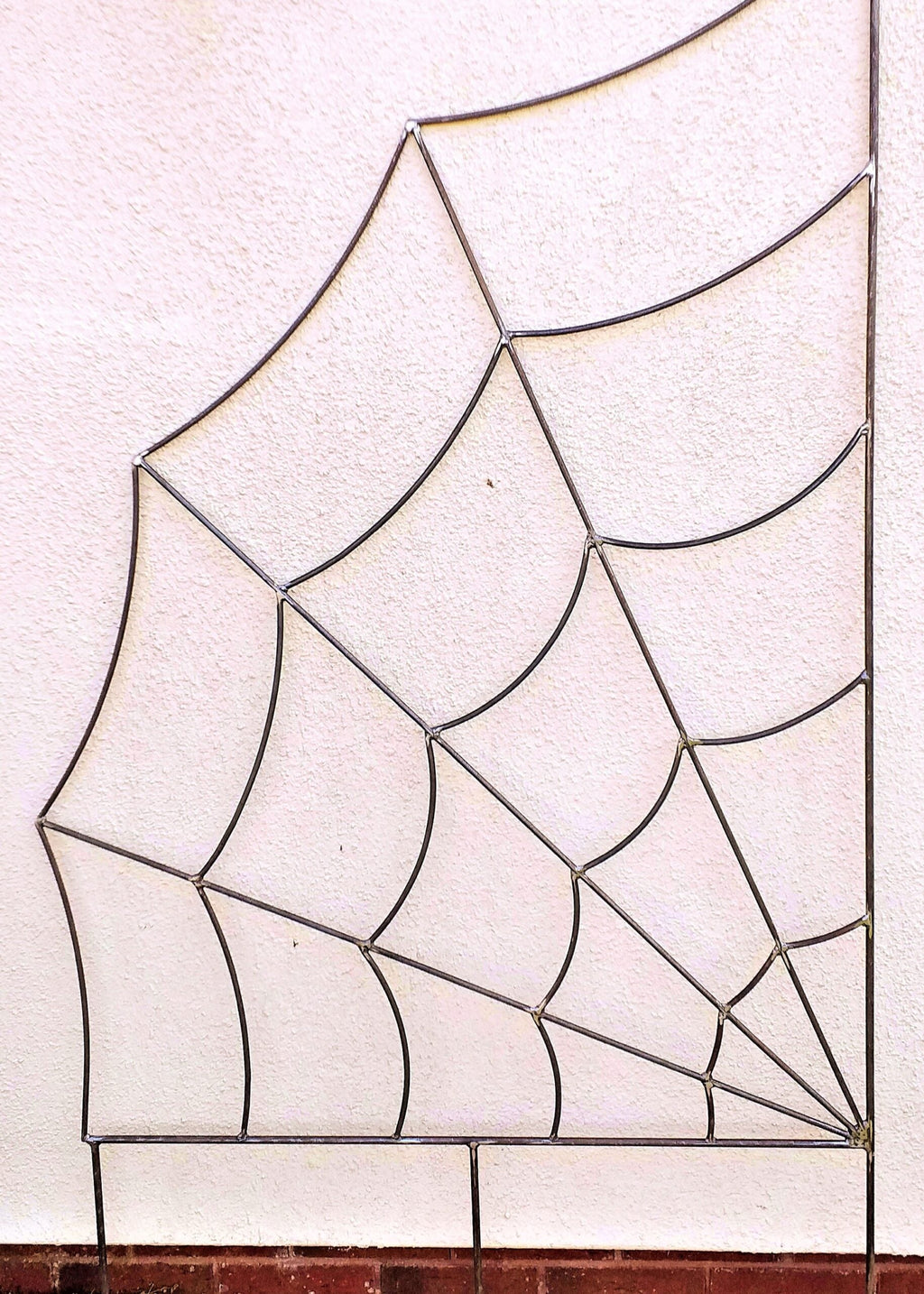Trellis Spider Web Rust