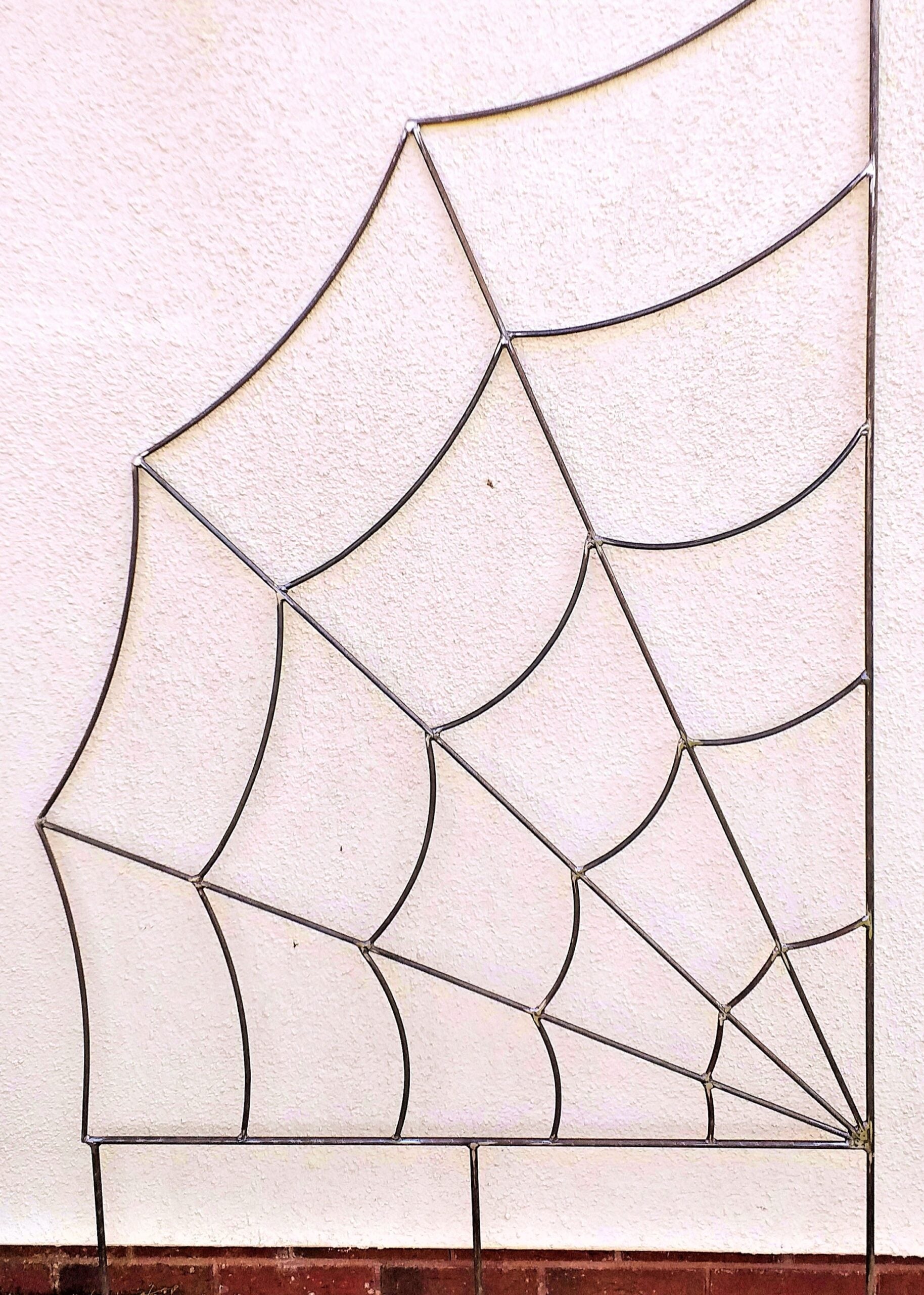 Trellis Spider Web Rust
