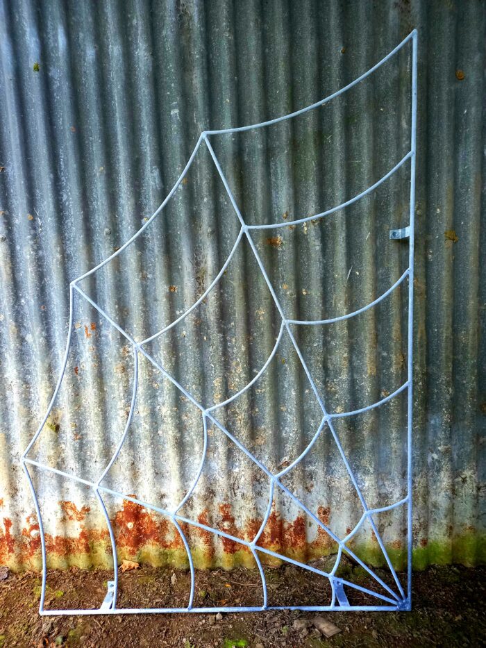 Trellis Spider Web Rust