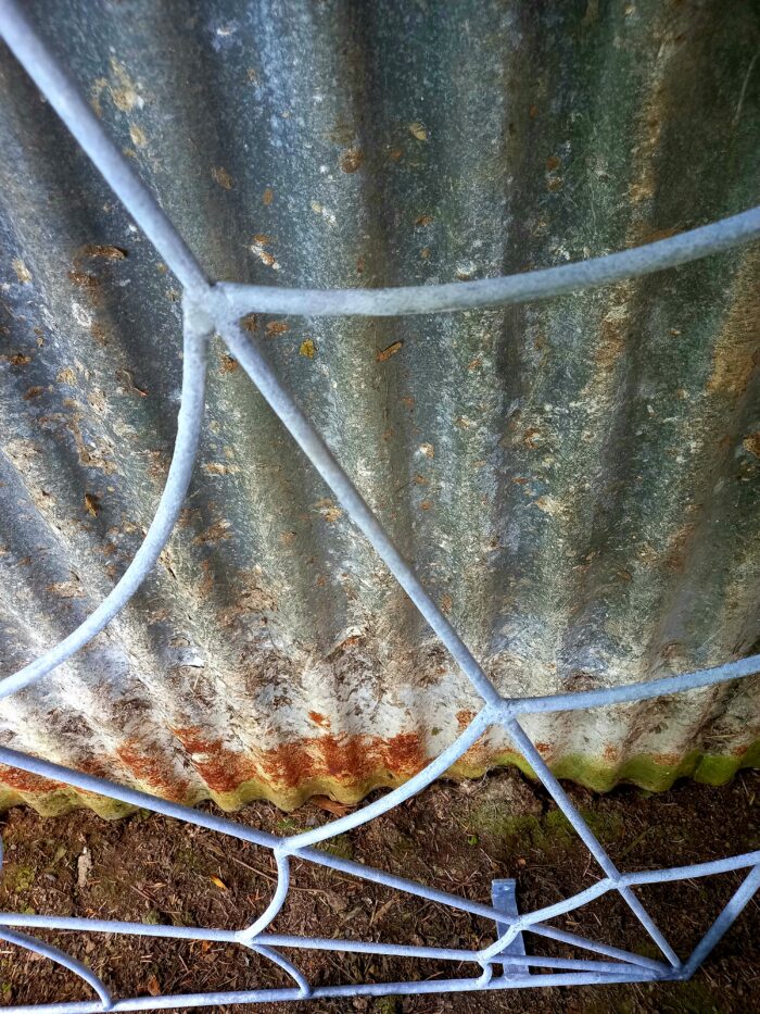 Trellis Spider Web Rust