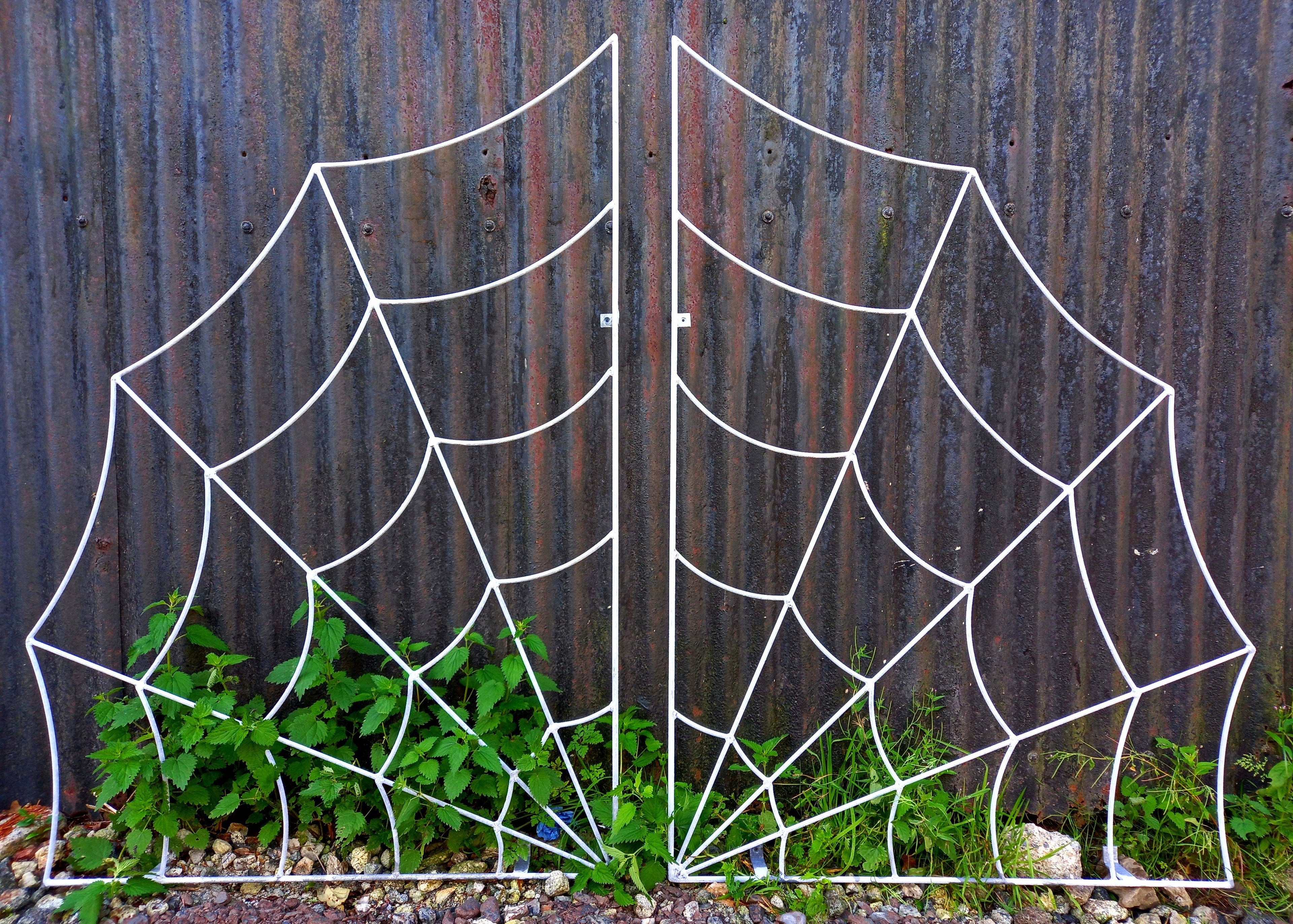 Trellis Spider Web Rust