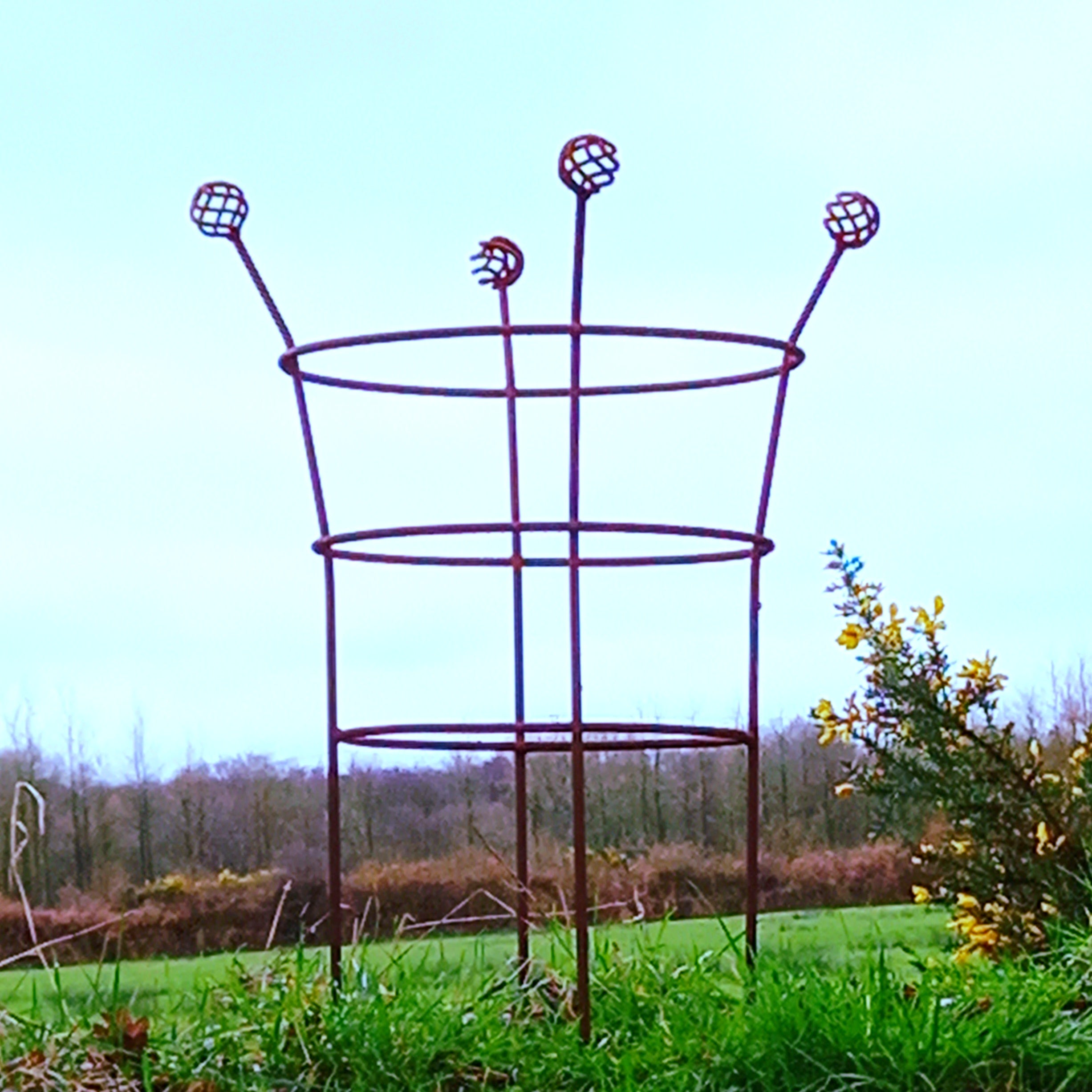 Fluted Trumpet Plant Support Basket Top