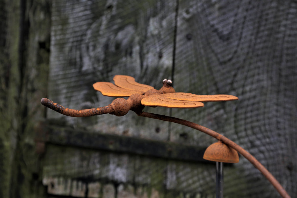 Rusty Dragonfly Wind Balancer