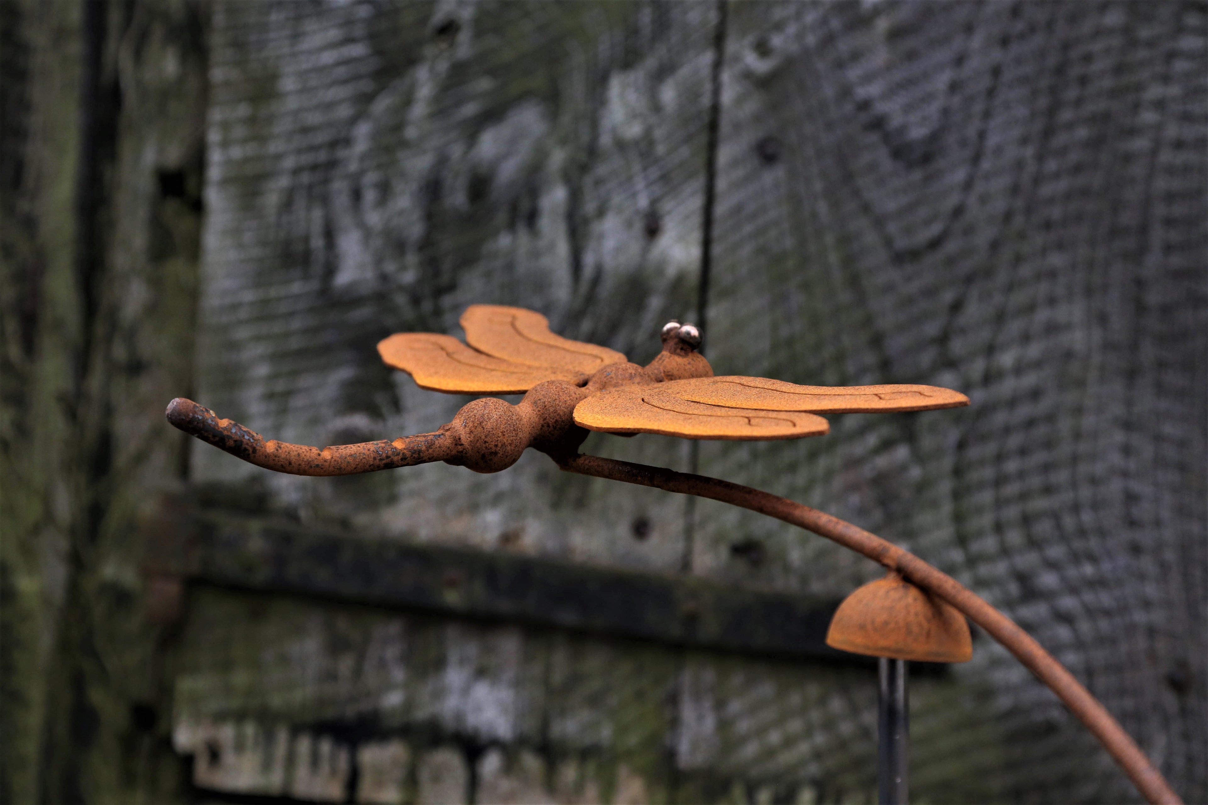 Rusty Dragonfly Wind Balancer