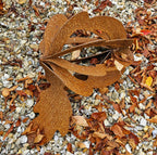 Rusty Acorn Sculpture