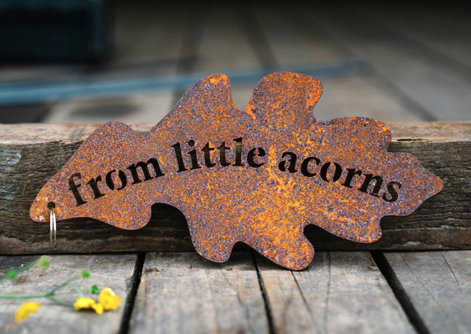 Oak Leaf Hanging Garden Sign: From Little Acorns