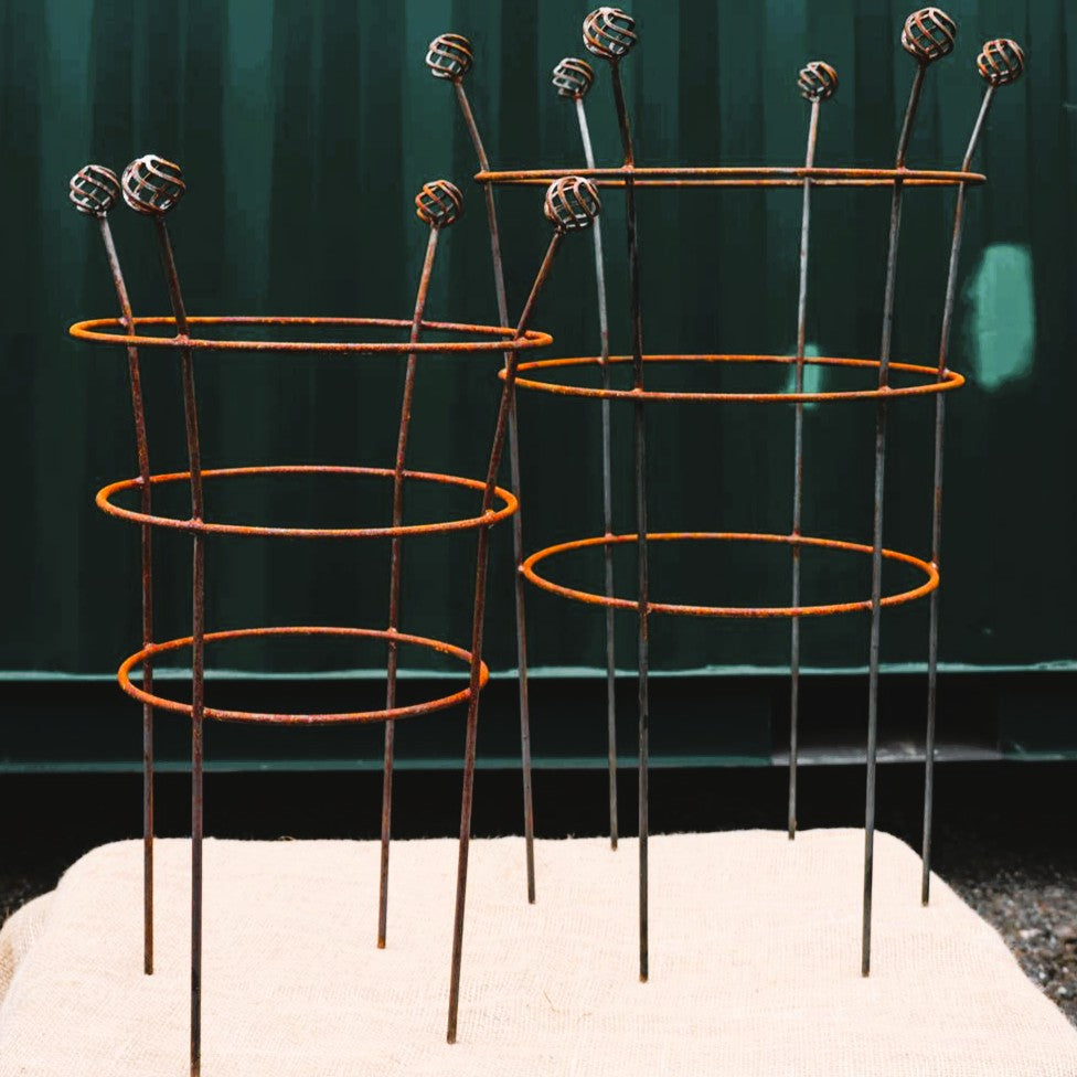 Fluted Trumpet Plant Support Basket Top