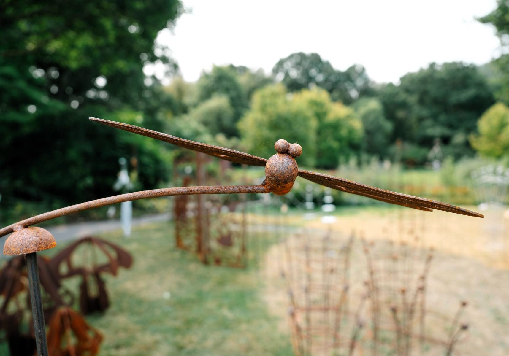 Rusty Dragonfly Wind Balancer