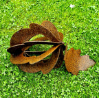 Rusty Acorn Sculpture