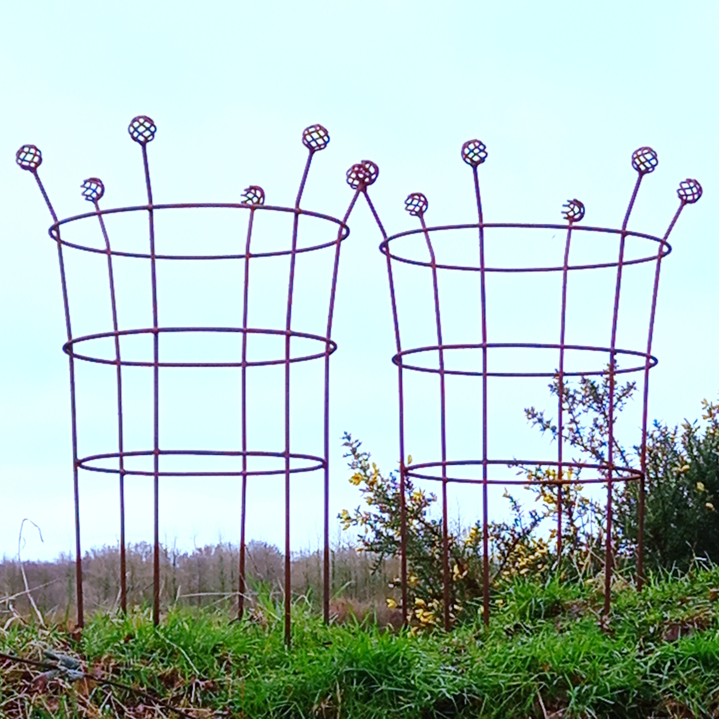 Fluted Trumpet Plant Support Basket Top
